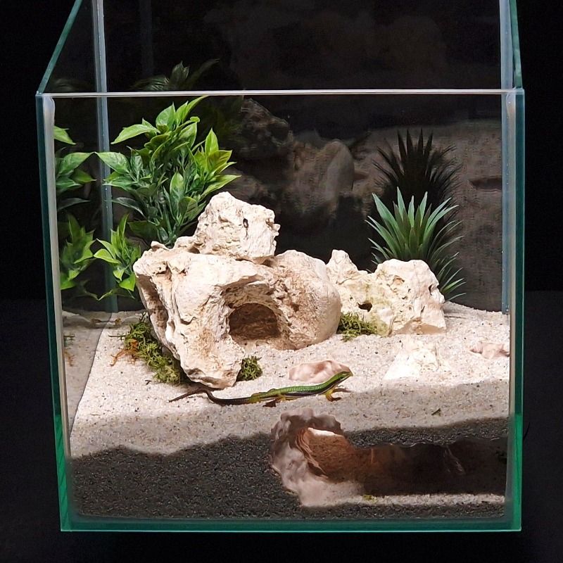 3DPrinted Fish Tank Tunnel She - 3D Printing Lizard review and price