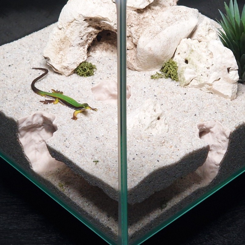 3DPrinted Fish Tank Tunnel She - 3D Printing Lizard review and price