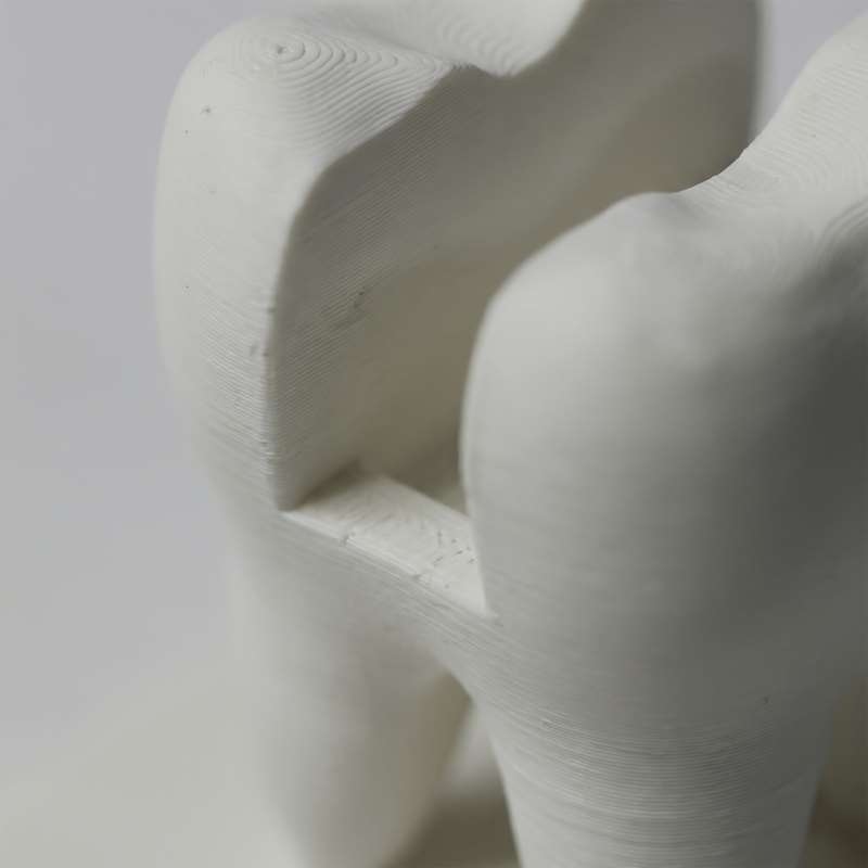 3D Printed Tooth Shaped Busine - 3D Printing Examples review and price